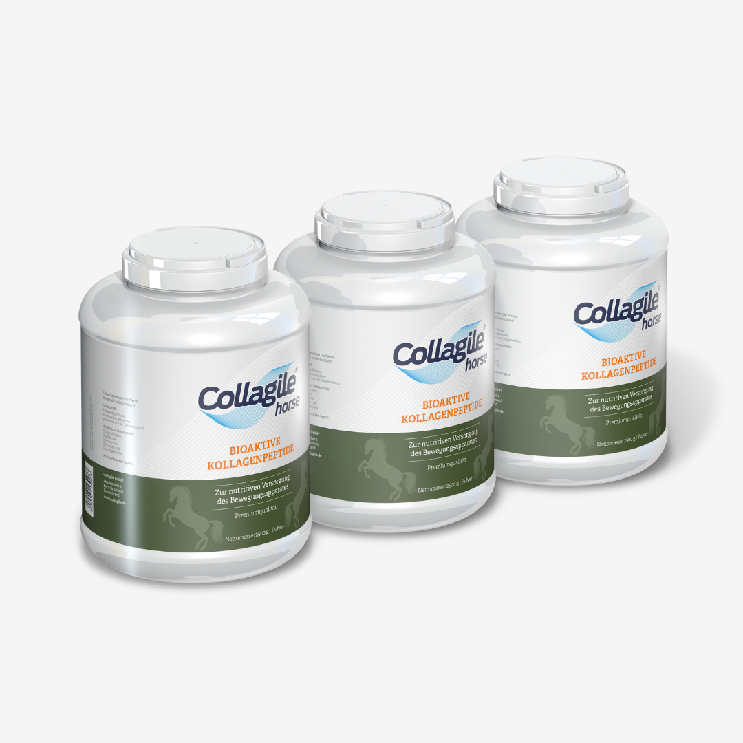 Collagile® horse - 2500g